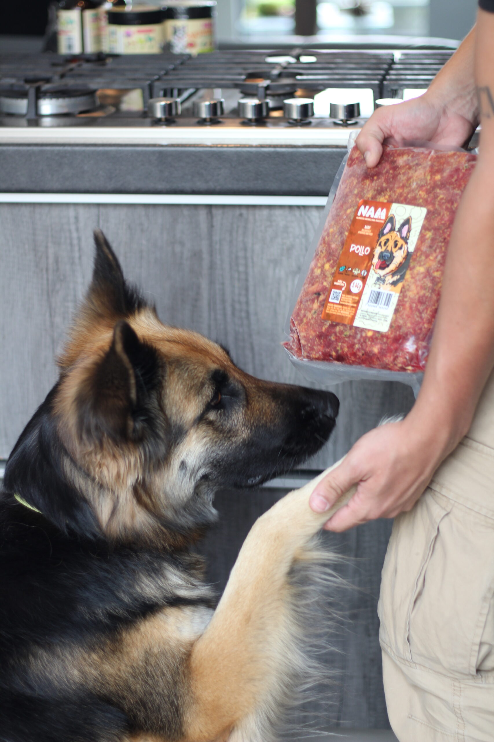 Alimento BARF:receta de pollo - Imagen 2