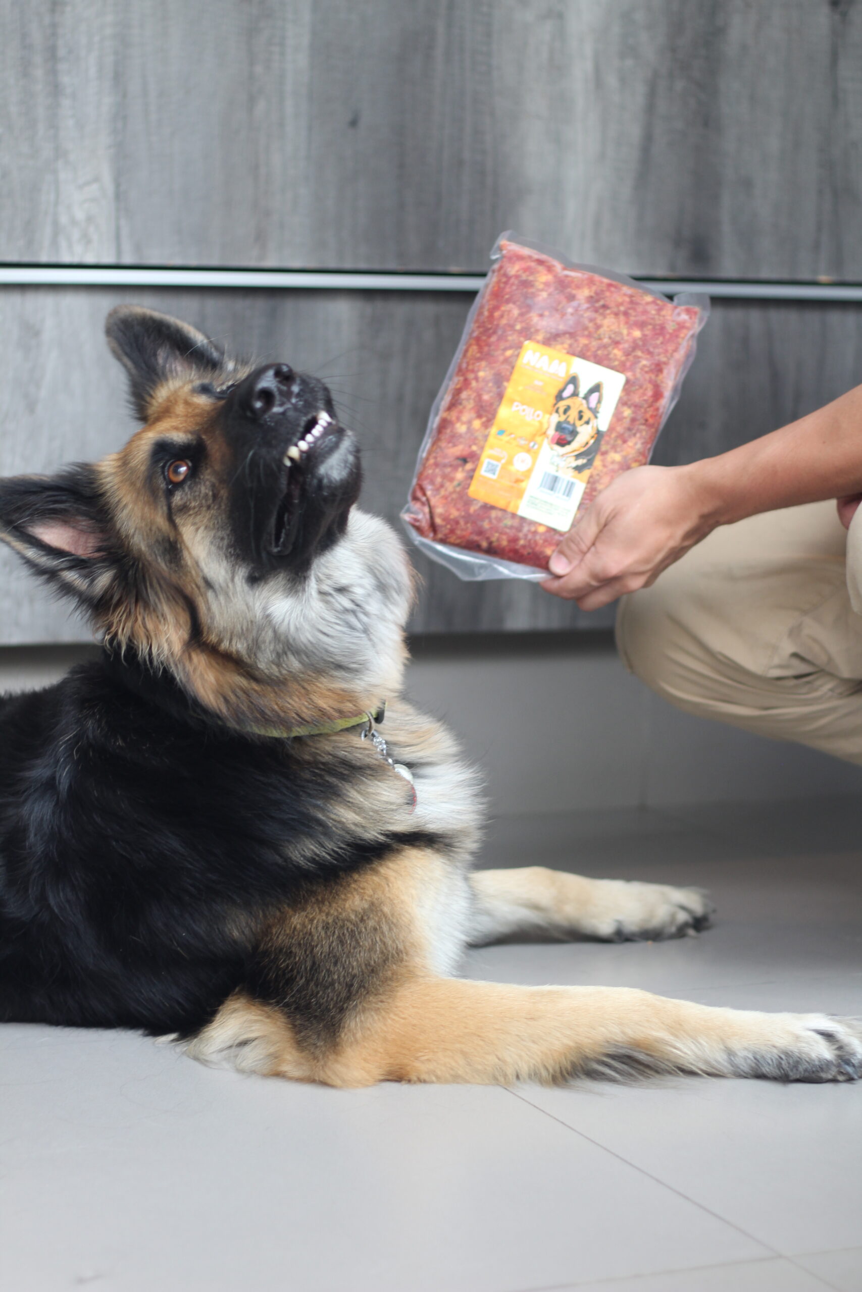 Alimento BARF:receta de pollo - Imagen 4